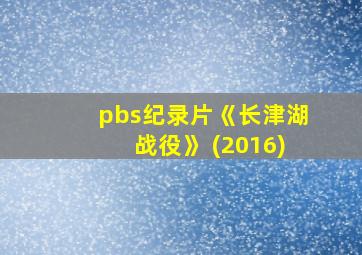 pbs纪录片《长津湖战役》 (2016)